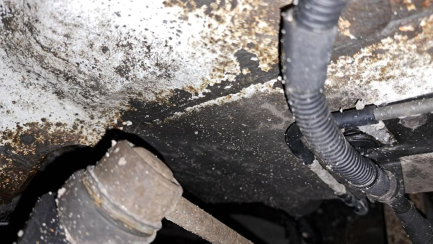 Zdjęcie przedmiotu: Ford Transit Custom 310 2.0 TDCi E6 3.1t L2 Trend