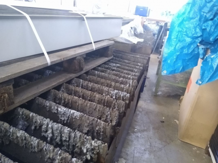 Zdjęcie przedmiotu: Automatic oxygen-plasma cutting machine Eckert Szafir