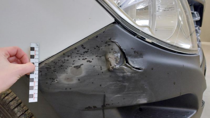 Zdjęcie przedmiotu: RENAULT/CARPOL MASTER FWD dCi E6 3.5t L3H1 Pack ClimS&S+E