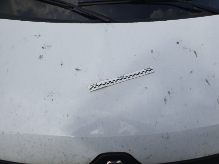 Zdjęcie przedmiotu: Renault Master Tilt