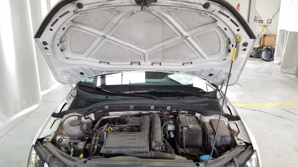 Zdjęcie przedmiotu: Skoda Octavia