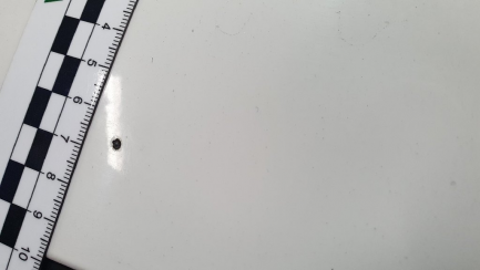 Zdjęcie przedmiotu: Hyundai I30 Wagon 1.6 D Classic +