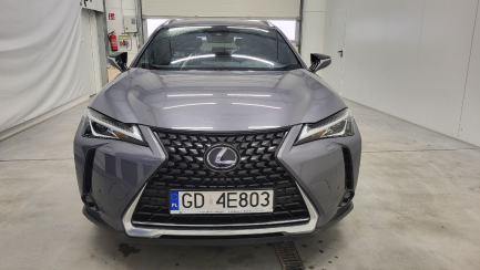Zdjęcie przedmiotu: Lexus UX 250h GPF Business Edition 2