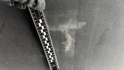 Zdjęcie przedmiotu: KAESSBOHRER MEGA Skrzyniowa