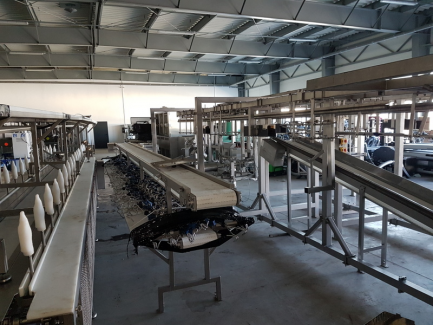 Zdjęcie przedmiotu: Line for poultry cutting and packing