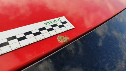 Zdjęcie przedmiotu: SKODA, Octavia III Kombi 13-17,  1.6 TDI Ambition