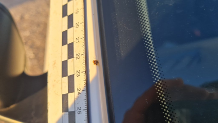 Zdjęcie przedmiotu: Skoda Rapid Spaceback 1.2 TSI Active