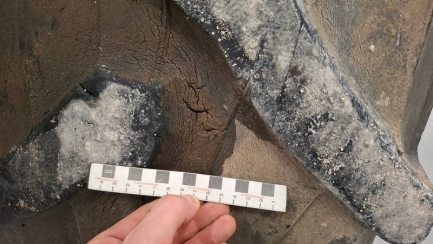 Zdjęcie przedmiotu: Ciągnik rolniczy ARBOS 5130AD Oświadczenie o utracie DR