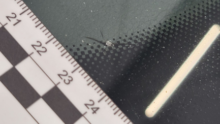 Zdjęcie przedmiotu: Audi A4 35 TFSI mHEV S tronic Oświadczenie o utracie DR