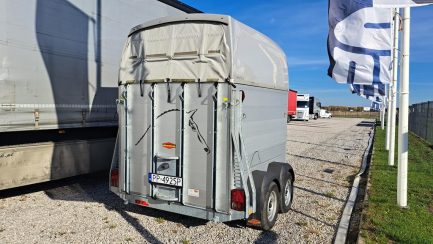 Zdjęcie przedmiotu: Przyczepa Do przewozu koni Boeckmann CHAMPION 2.4t