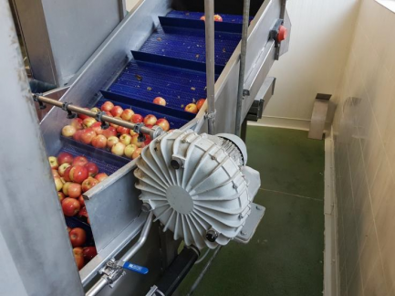 Zdjęcie przedmiotu: Technological line for packaging and packaging of juice (sorter, grinding team and juice extraction with a decander)