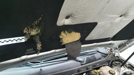 Zdjęcie przedmiotu: Opel Insignia 2.0 T Cosmo aut EU6 A Hatchback 13-17