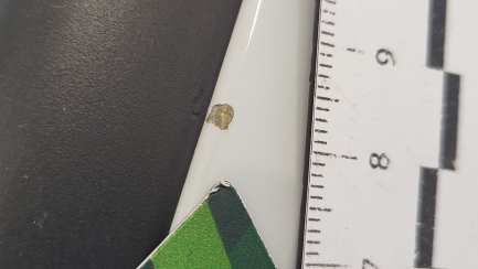 Zdjęcie przedmiotu: Audi A6 Avant 40 TDI mHEV Quattro Sport S tronic Oświadczenie o utracie DR