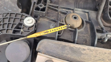 Zdjęcie przedmiotu: Ford TURNEO Oświadczenie o utracie DR