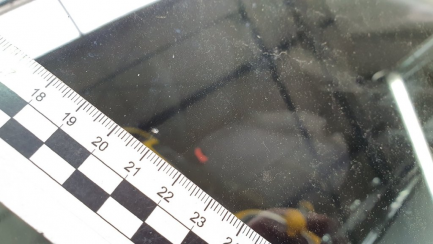 Zdjęcie przedmiotu: Nissan Juke 1.6 N-Connecta Xtronic EU