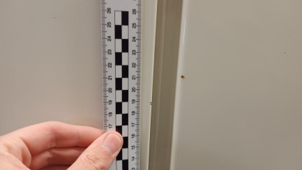 Zdjęcie przedmiotu: DAF XF FT Space Cab 480 E6 21.0t