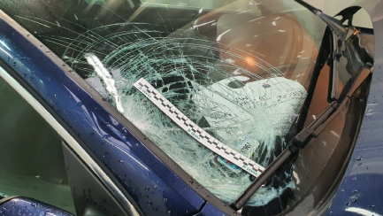 Zdjęcie przedmiotu: Volkswagen Passat Variant 1.6 TDI Trendline