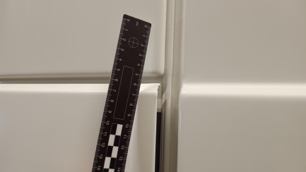 Zdjęcie przedmiotu: DAF XF 480 FT Super Space Cab Low Deck E6 21.0t Oświadczenie o utracie DR