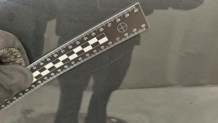 Zdjęcie przedmiotu: Mercedes-Benz V 300 d L Avantgarde E6 447 