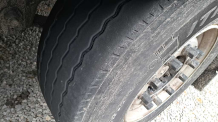 Zdjęcie przedmiotu: SCHMITZ SKO 24 Refrigerator