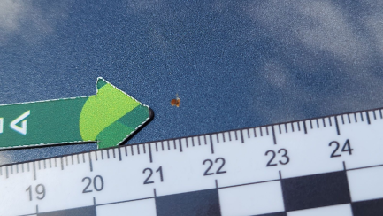 Zdjęcie przedmiotu: Mitsubishi L200 2.2 d DC Stark Basic aut Oświadczenie o utracie DR