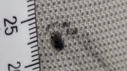 Zdjęcie przedmiotu: Volkswagen Tiguan 2.0 TDI BMT SCR Comfortline DSG