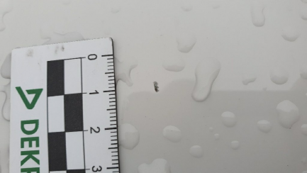 Zdjęcie przedmiotu: Bmw X4 xDrive20d M Sport aut