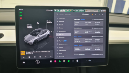 Zdjęcie przedmiotu: Tesla Model Y Performance AWD