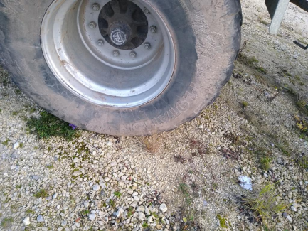 Zdjęcie przedmiotu: The LELY TIGO 60 RD Profi loader wagon