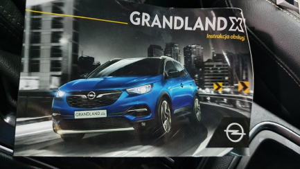 Zdjęcie przedmiotu: Opel GRANDLAND Combi