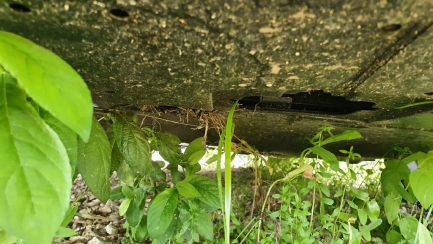 Zdjęcie przedmiotu: Mazda Cx-5 2.5 Skypassion AWD aut