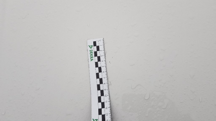 Zdjęcie przedmiotu: Bmw 318I sedan