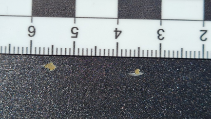 Zdjęcie przedmiotu: Toyota Avensis Kombi 2.0 D-4D Premium