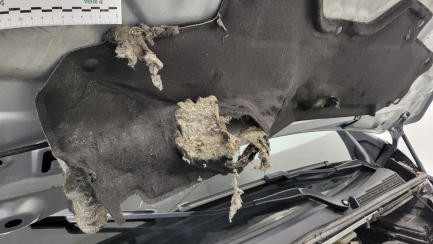 Zdjęcie przedmiotu: Renault Trafic Kombi 2.0 Blue dCi L2 Equilibre