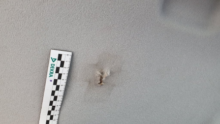 Zdjęcie przedmiotu: Ford Transit Delivery van