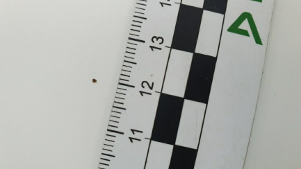 Zdjęcie przedmiotu: Toyota Yaris 1.33 Active EU6