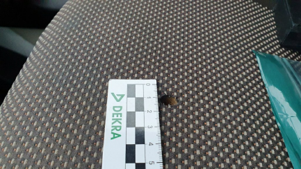 Zdjęcie przedmiotu: Citroen Jumper 35 BlueHDi L3H2 Euro 6