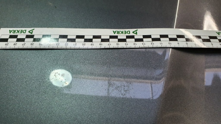 Zdjęcie przedmiotu: Lexus NX300h Elite AWD