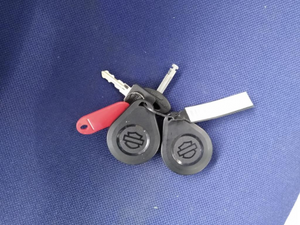 Zdjęcie przedmiotu: Harley Davidson Sportster Roadster