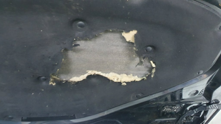 Zdjęcie przedmiotu: BMW, Seria 3 Gran Turismo [F34] 16-, 318d Advantage aut