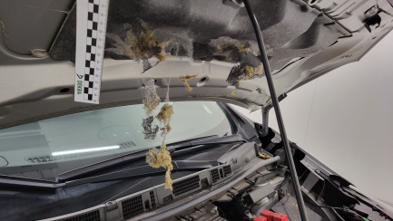 Zdjęcie przedmiotu: Nissan Leaf 40kWh Acenta