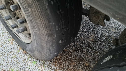 Zdjęcie przedmiotu: SCHMITZ SKO 24 Refrigerator