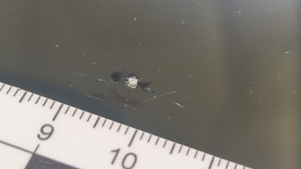 Zdjęcie przedmiotu: Volvo S60 T5 AWD Inscription aut