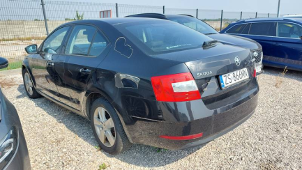 Zdjęcie przedmiotu: Skoda Octavia III 1.6 TDI-CR Ambition DSG