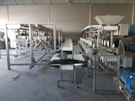 Zdjęcie przedmiotu: Line for poultry cutting and packing