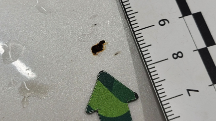 Zdjęcie przedmiotu: Isuzu D-Max 1.9 d DC LSE aut