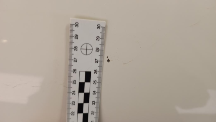 Zdjęcie przedmiotu: MAN TGE E6 3.5t L5H3