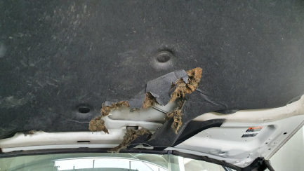 Zdjęcie przedmiotu: Infiniti Qx70 SUV