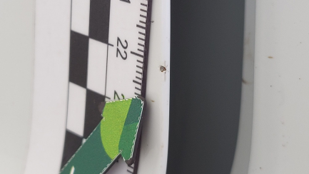 Zdjęcie przedmiotu: Volkswagen T-Roc 1.5 TSI GPF ACT Premium DSG