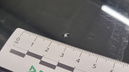 Zdjęcie przedmiotu: Seat Leon 1.6 TDI Reference